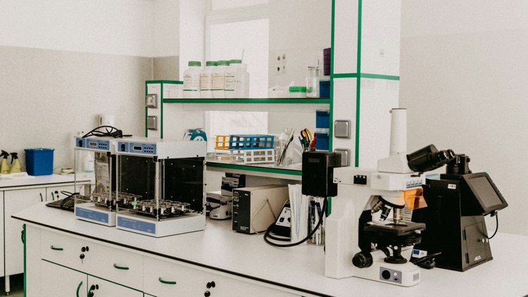 How to Choose a Citicoline Sodium Manufacturer for B2B Supply